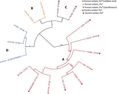 High-Resolution Comparative Genomics of Salmonella Kentucky Aids Source Tracing and Detection of ST198 and ST152 Lineage-Specific Mutations